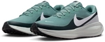 NIKE Revolution 8 Laufschuhe Herren 007 - cannon/white-seaweed-pure platinum 44