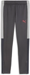PUMA IndividualLIGA Trainingshose Kinder 01 - strong gray/puma red/gray echo 176