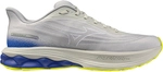 Mizuno Wave Skyrise 7 Laufschuhe Herren 02 - dawn blue/white/dazzling blue 41