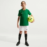 NIKE Park VIII Dri-FIT Trikot Kinder 302 - pine green/white M (137-147 cm)