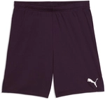 PUMA teamGOAL Shorts Herren 40 - midnight plum/puma white S