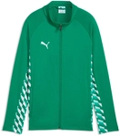 PUMA teamLIGA 26 Trainingsjacke Kinder 05 - sport green/puma white/sport green 176