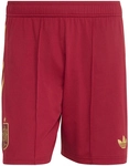adidas RFEF Spanien Authentic Ausw&auml;rtsshorts WM 2026 Herren JN4393 - team coll