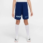 NIKE Academy 25 Dri-FIT Erling Haaland Shorts Kinder 492 - blue void/blue