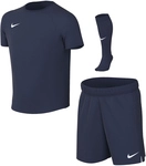 NIKE Park VIII Dri-FIT Trikot Set (Trikot+Shorts+Stutzen) Kleinkinder 410 - midnight