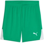 PUMA teamLIGA 26 Shorts Kinder 05 - sport green/puma white/puma white 116