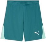PUMA teamLIGA 26 Shorts Herren 43 - emerald ice/puma white/mint jelly S