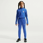 NIKE Frankreich Strike Dri-FIT langarm Trainingsshirt Kinder 480 - game