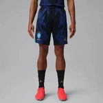 Nike IU1073-417, NIKE Brasilien Stadium Dri-FIT Ausw&auml;rtsshorts Herren 417 - old