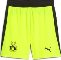 Puma 780127-07, PUMA BVB Borussia Dortmund Shorts 2025/26 Herren 07 - yellow