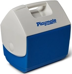 Igloo Playmate Pal K&uuml;hlbox sneaky blue