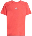 adidas All Sports Favorite T-Shirt Jungen KD8546 - dusky petrol/dusky...