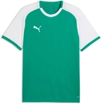 PUMA teamLIGA 26 Matchday Trikot Herren 05 - sport green/puma white/puma white S