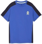 PUMA Active Sports Small Graphic T-Shirt Jungen 50 - royal sapphire 176