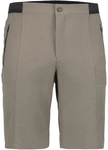 ICEPEAK Baxter Outdoorshorts Herren 276 - granite 48