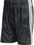 adidas Tiro 26 Competition Torwartshorts Herren KC5351 - black 3XL
