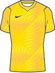 NIKE Gardien VI Dri-FIT kurzarm Torwarttrikot Herren 718 - lightening/black 3XL