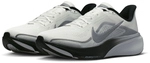 NIKE Pegasus 42 Laufschuhe Herren 100 - summit white/metallic silver-photon dust 42.5