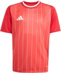 adidas Entrada 26 Graphic Trikot Kinder KB3981 - team power red 2/white 140