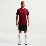 NIKE Park VIII Dri-FIT Trikot Herren 677 - team red/white M