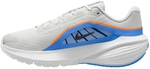 NIKE Downshifter 14 Laufschuhe Herren 004 - platinum tint/off noir-black-white...