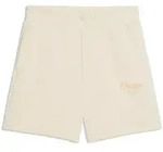 PUMA Essentials Script High-Waist 5" Sweatshorts Damen 87 - alpine snow S