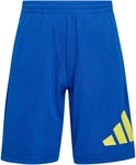 adidas Train Essentials Big Logo Trainingsshorts Kinder KT1810 - team royal...