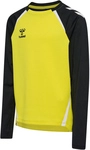 hummel hmlLEAD 2.0 Crew Sweatshirt Kinder 5800 - blazing yellow/black 116