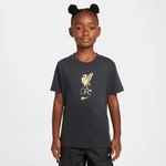 NIKE FC Liverpool Crest T-Shirt Kinder 070 - dk smoke grey L (147-158 cm)