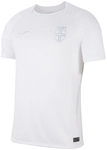 NIKE Norwegen Stadium Dri-FIT Ausweichtrikot WM 2026 Herren 100 - white/pure