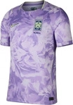 Nike IB5386-567, NIKE S&uuml;dkorea Stadium Dri-FIT Ausw&auml;rtstrikot WM 2026 Herren 567 -