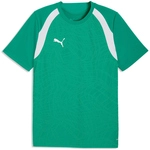 PUMA teamFINAL 26 Trainingsshirt Herren 05 - sport green/puma white/puma white S