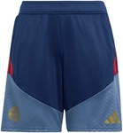 adidas FC Bayern M&uuml;nchen Trainingsshorts 2026/27 Kinder KF1017 - night