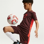 NIKE Academy+ Dri-FIT Fu&szlig;ball Shorts Kinder 658 - mystic dates/bright crimson L