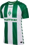hummel SV Werder Bremen Heimtrikot 2026/27 Kinder 6839 - abundant green wo sleeve 116