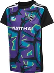 hummel SV Werder Bremen Torwarttrikot 2026/27 Kinder 4895 - tillandsia purple wo