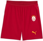 PUMA Galatasaray Istanbul Shorts 2026/27 Herren 01 - dark cherry/summer sunset S