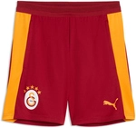 PUMA Galatasaray Istanbul Trainingsshorts 2026/27 Herren 01 - dark cherry/summer