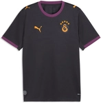 PUMA Galatasaray Istanbul Ausw&auml;rtstrikot 2026/27 Herren 05 - flat dark gray/plum