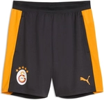 PUMA Galatasaray Istanbul Trainingsshorts 2026/27 Herren 06 - flat dark...