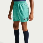 NIKE FC Barcelona Stadium Dri-FIT Ausweichshorts 2026/27 Kinder 345 - green frost/gym