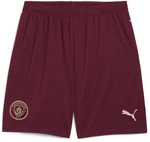PUMA Manchester City FC Shorts 2024/25 Herren 03 - dark jasper L