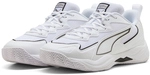 PUMA Solarflash 4 Hallenschuhe 02 - PUMA white/PUMA aged silver 44