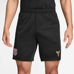 NIKE FC Barcelona Strike Dri-FIT Ausw&auml;rtsshorts Herren 010 - black/field