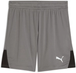 PUMA teamLIGA 26 Shorts Kinder 13 - flat medium gray/puma white/puma black 176