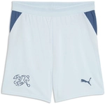 PUMA SFV Schweiz Shorts WM 2026 Kinder 02 - sea glass/dark indigo 128