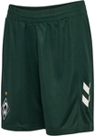 hummel SV Werder Bremen Ausw&auml;rtsshorts 2026/27 Kinder 6718 - storm 128