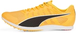 PUMA Evospeed Distance 11 Leichtathletik-Schuhe 01 - sun stream/puma black/puma
