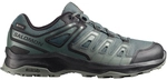 Salomon Extegra Gore-Tex Wanderschuhe Herren urban chic/black/plantation 40 2/3