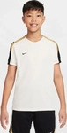 Nike FN8407-110, NIKE Strike Dri-FIT Fu&szlig;ball-Trainingsshirt Kinder 110 - pale
